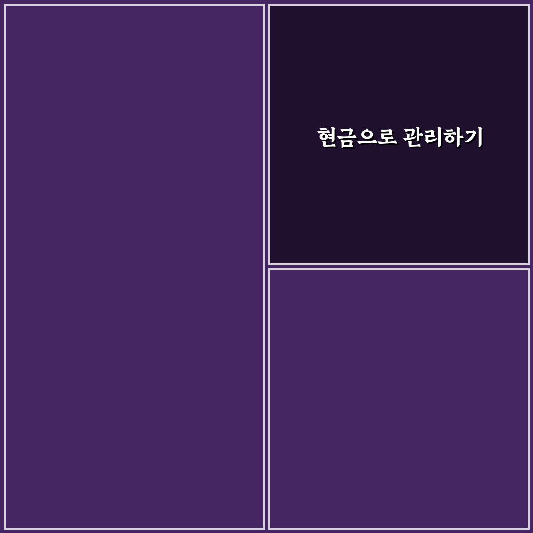 현금 예산법으로 가계관리 쉽게 하는 실전 팁 알려드려요