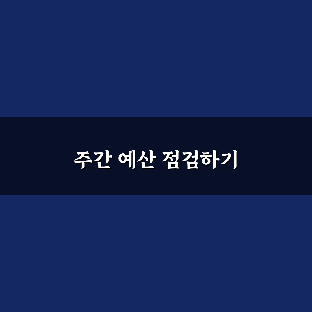 생활비 예산 지키는 체크리스트 주간 점검법 꿀팁 공유
