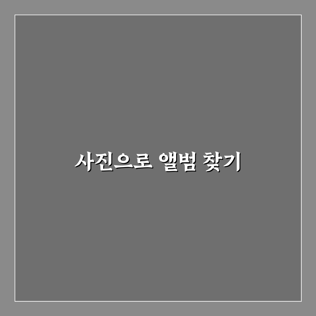 사진 검색 기능 활용법 앨범 찾기 쉽게 하는 꿀팁 공유