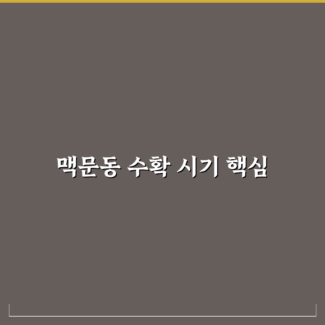 맥문동캐는시기 꿀팁 초보자도 쉽게 알아보는 방법