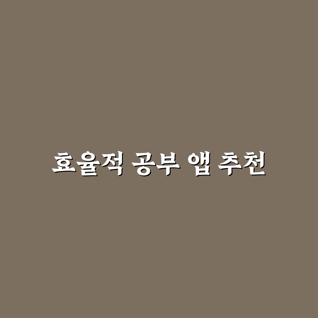 공부 계획 세우기 좋은 생산성 앱 추천 꿀팁 공유
