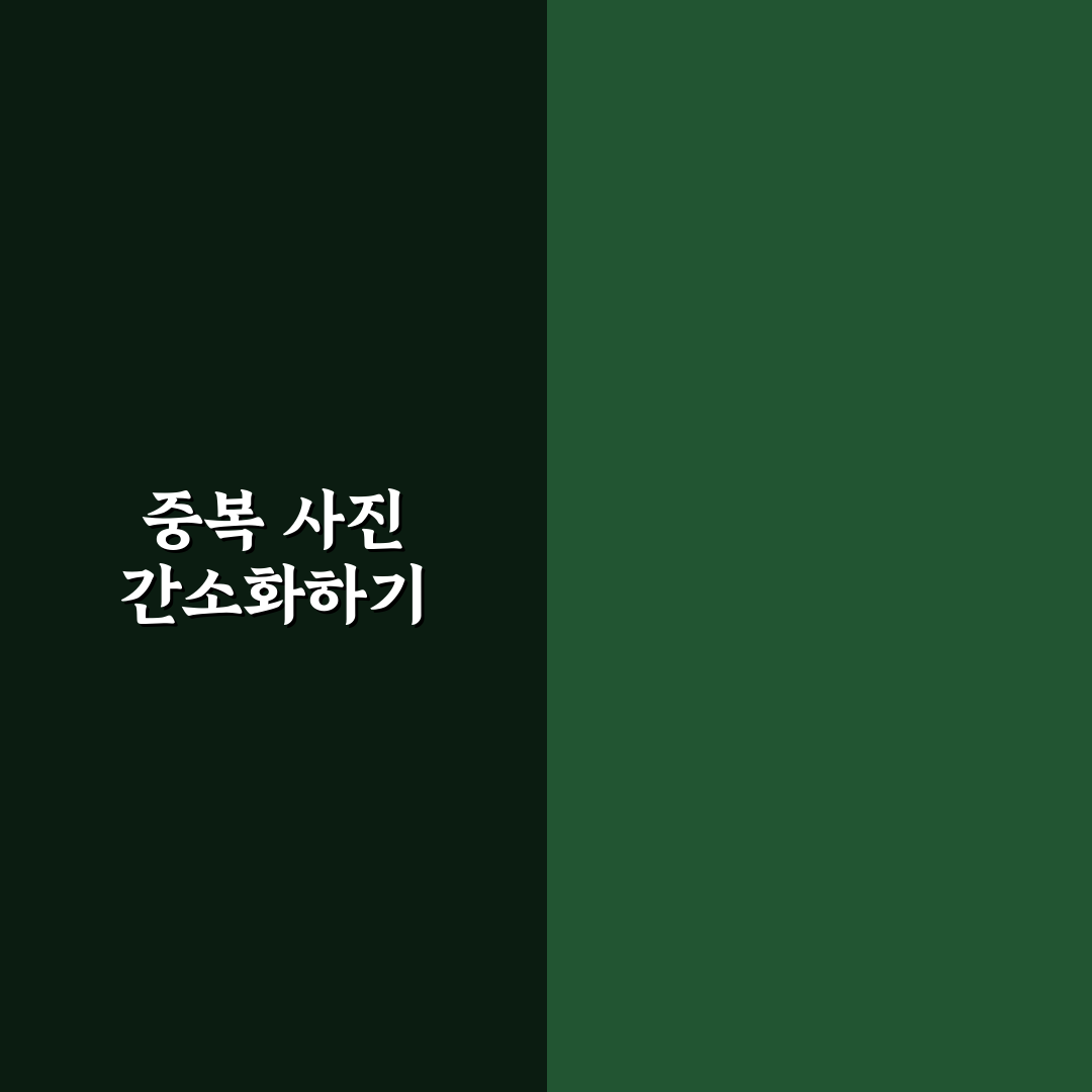 아이폰 사진 정리법 중복 사진 줄이는 꿀팁 알려드려요