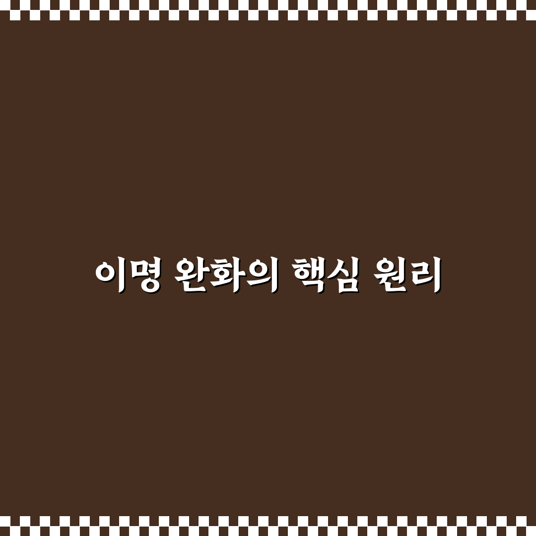 이명 패치 효과와 사용법 꿀팁 알려드려요