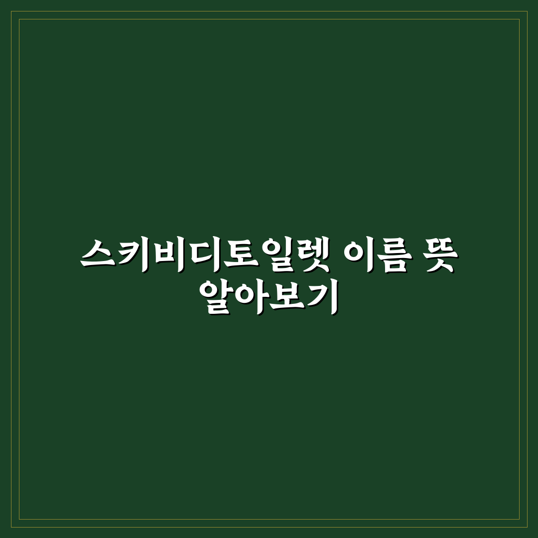 스키비디토일렛이름 맞추기 꿀팁과 쉬운 방법 정리