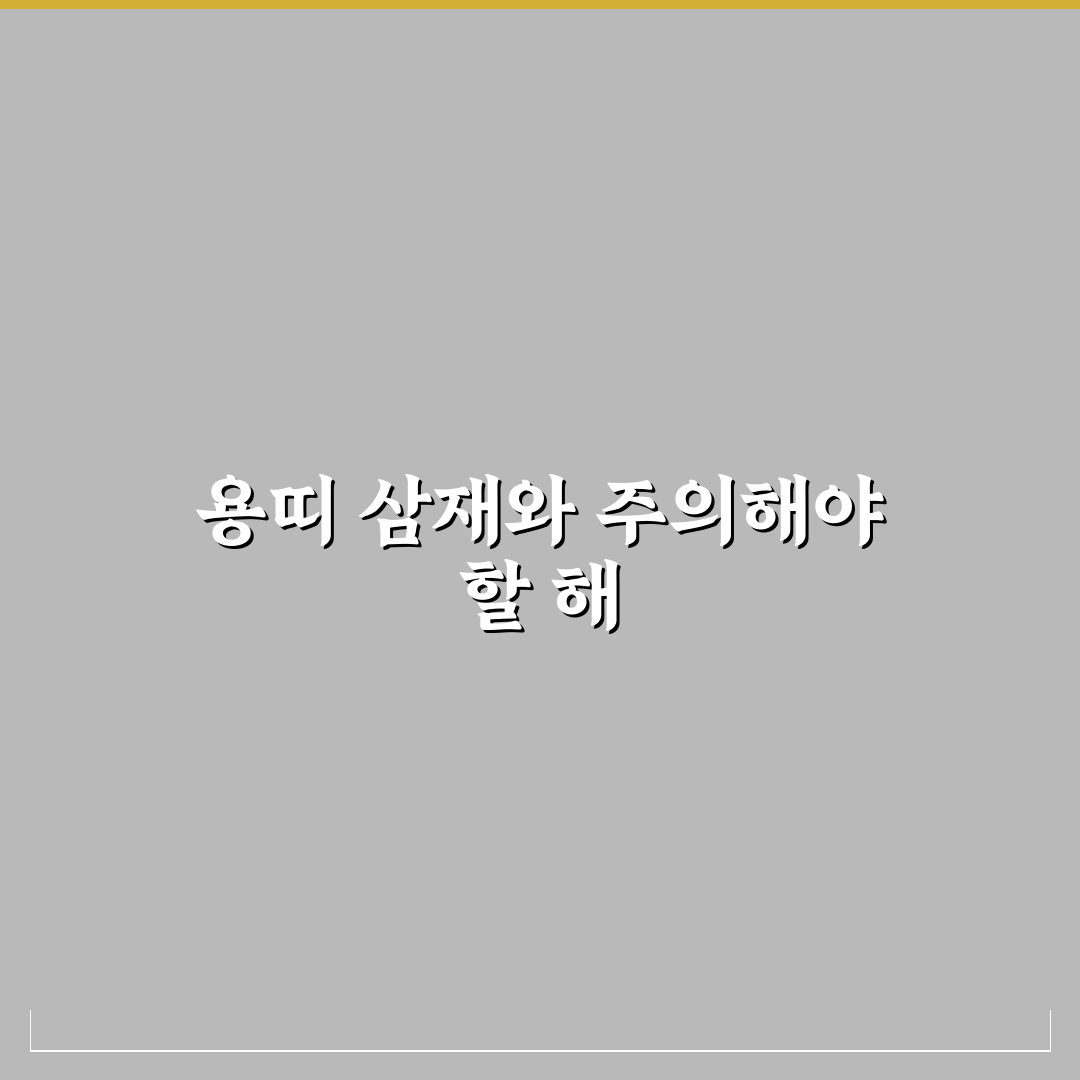 용띠 삼재 년도와 의미 쉽게 알려드려요