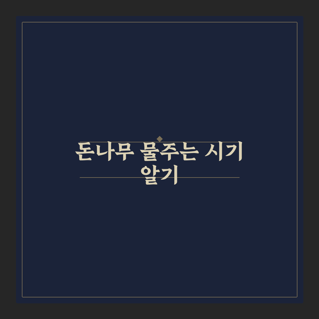 돈나무 물주는 시기와 방법 추천 초보자도 쉽게 알아보기
