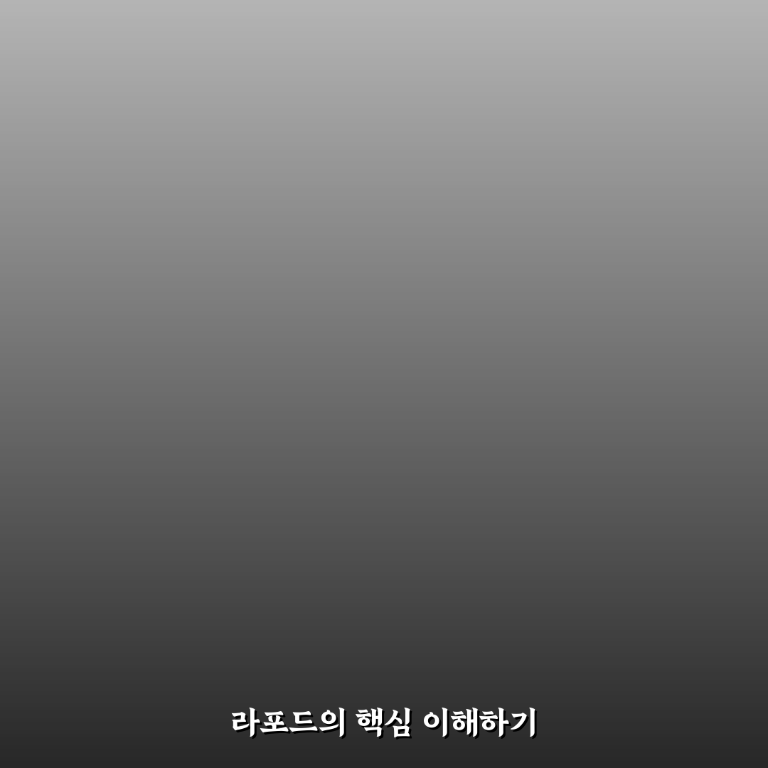 라포드 사용법과 꿀팁 쉽게 이해하기
