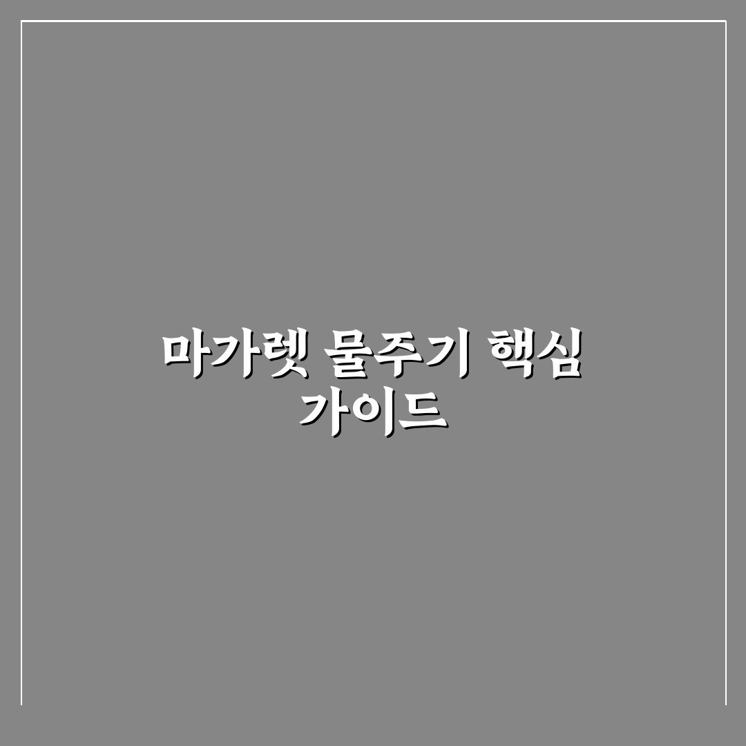 마가렛 물주기 방법과 시기 추천 꿀팁 공유