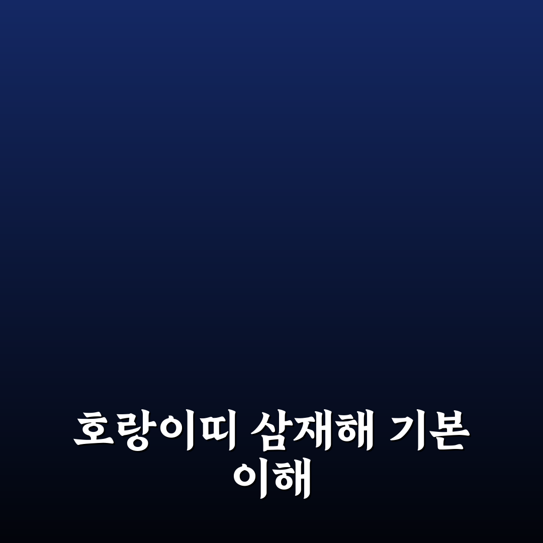 호랑이띠 삼재해 의미와 극복 방법 꿀팁 알려드려요