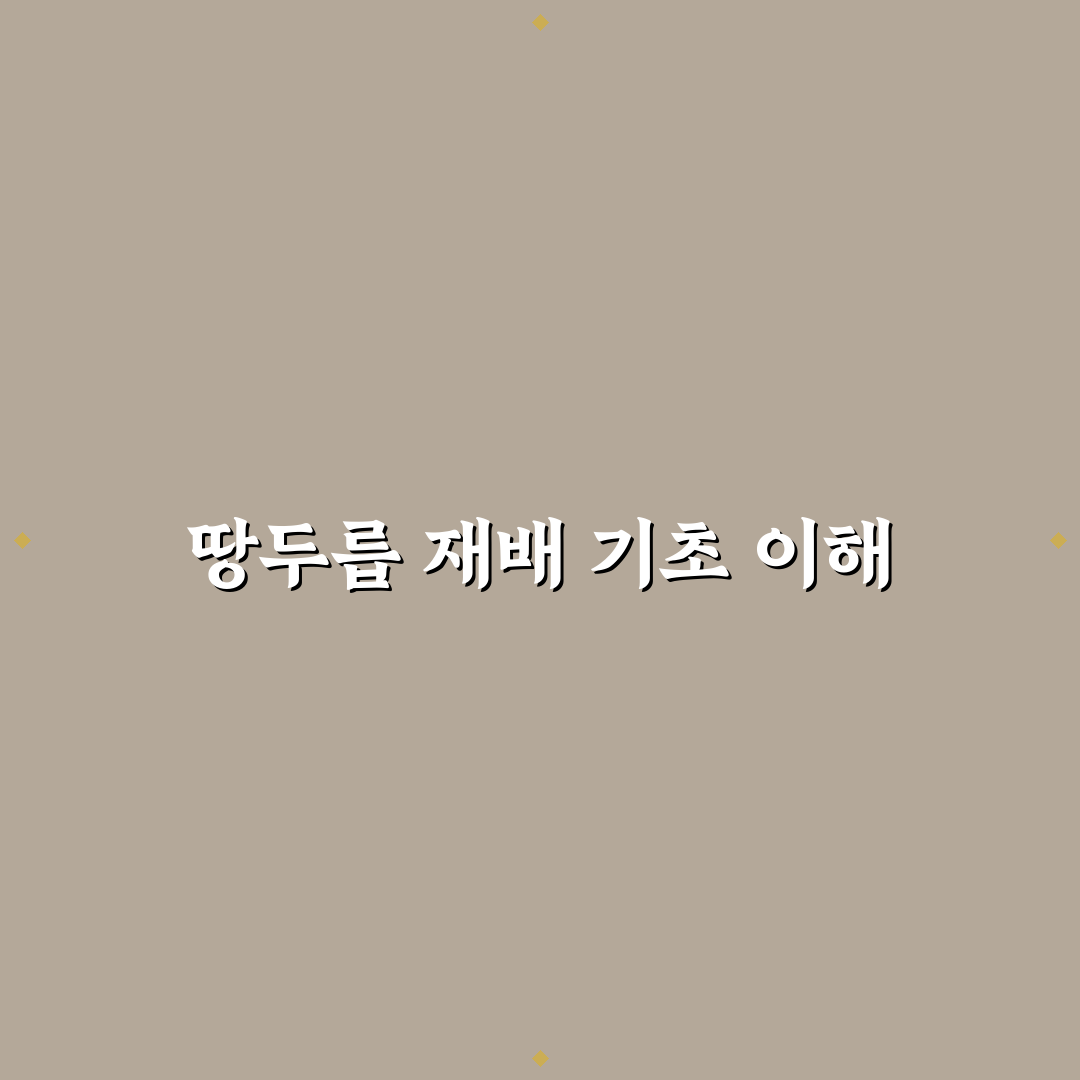 땅두릅 모종재배방법 초보자를 위한 꿀팁 공유