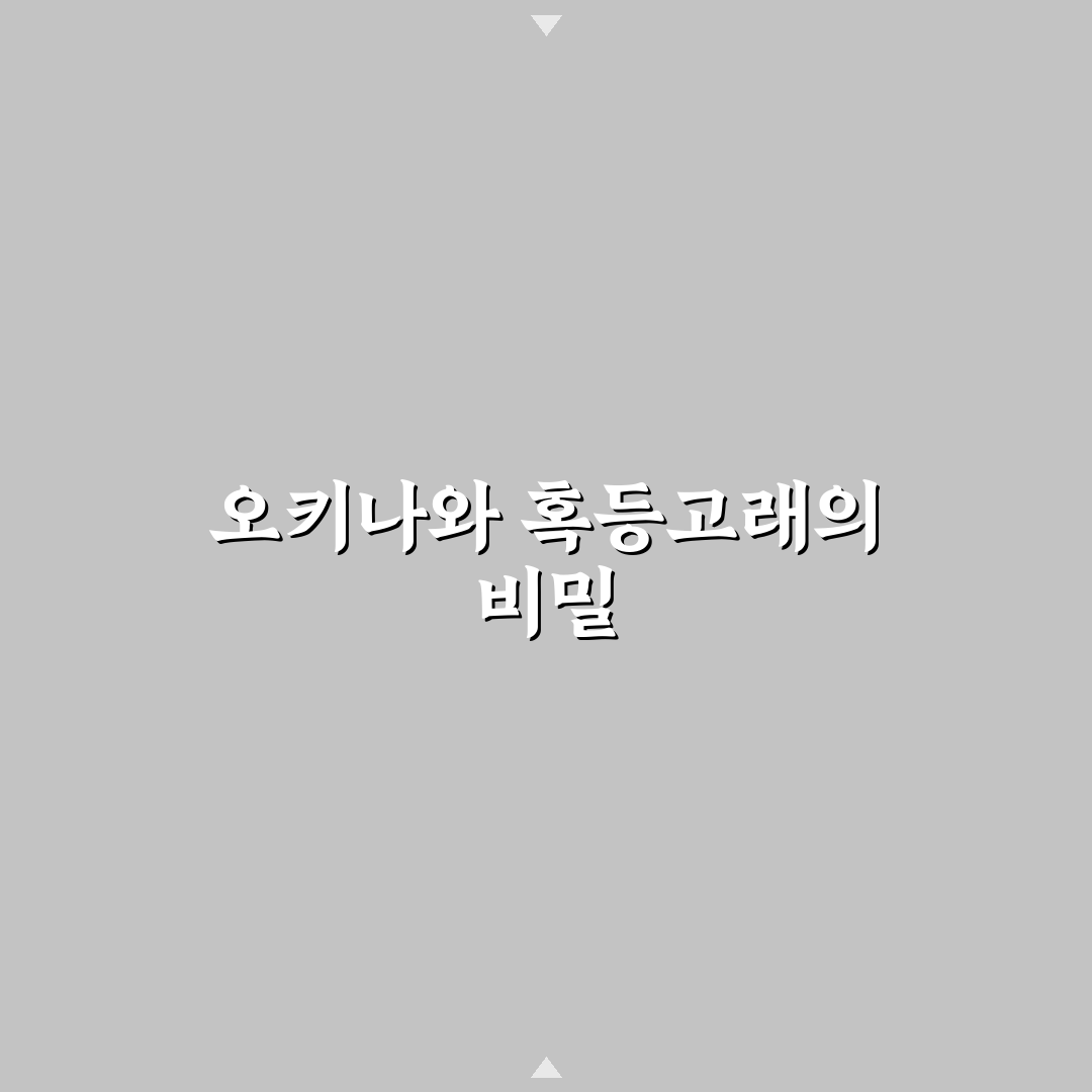 오키나와 혹등고래 관찰 꿀팁과 여행 정보 정리