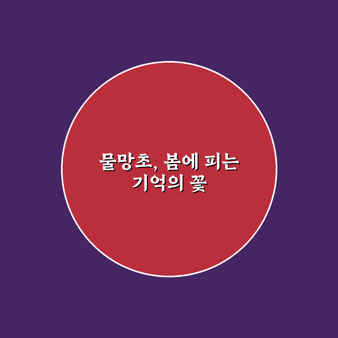 물망초 개화시기 쉽게 알아보는 정보와 꿀팁