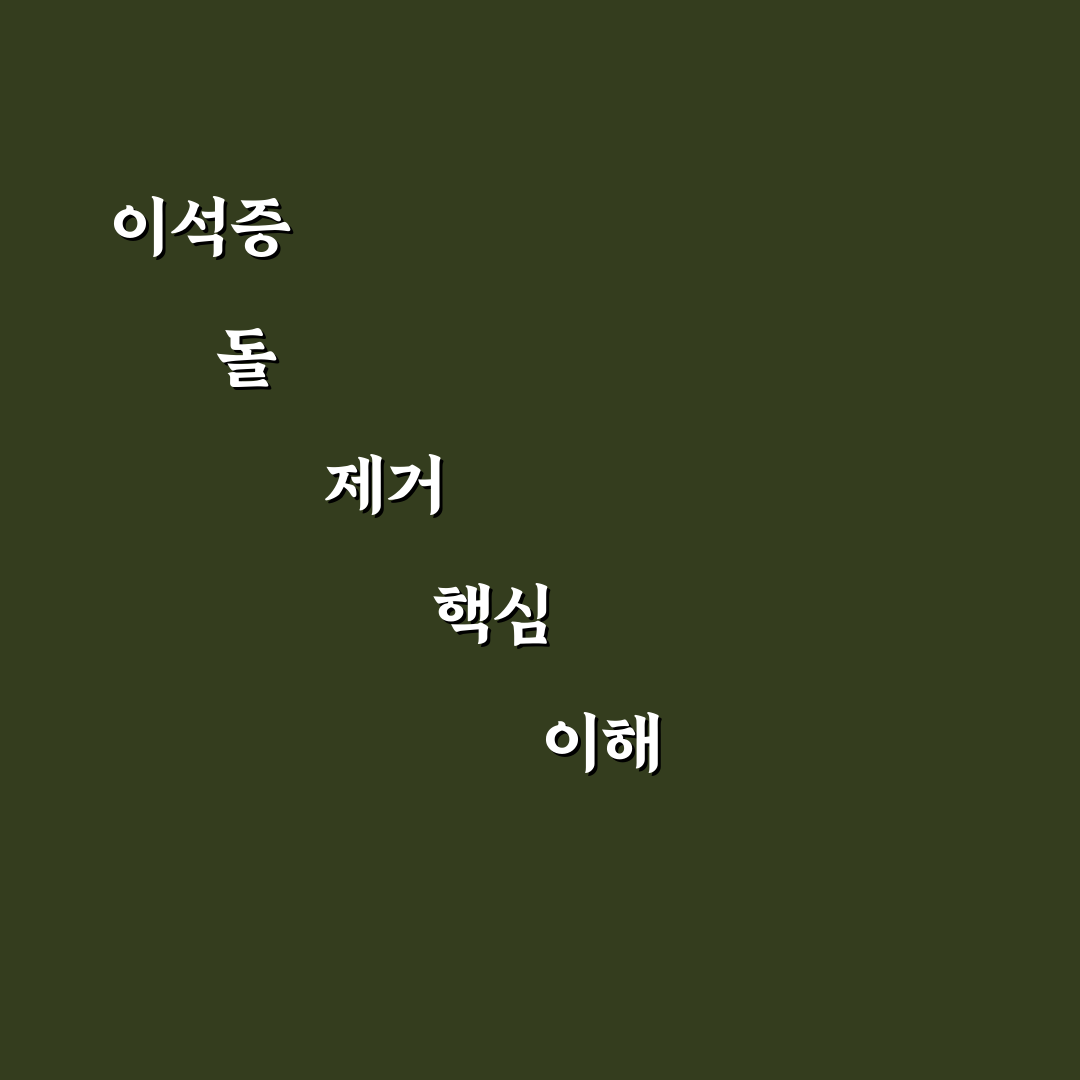 이석증 돌 빼기 방법과 꿀팁 쉽게 알려드려요