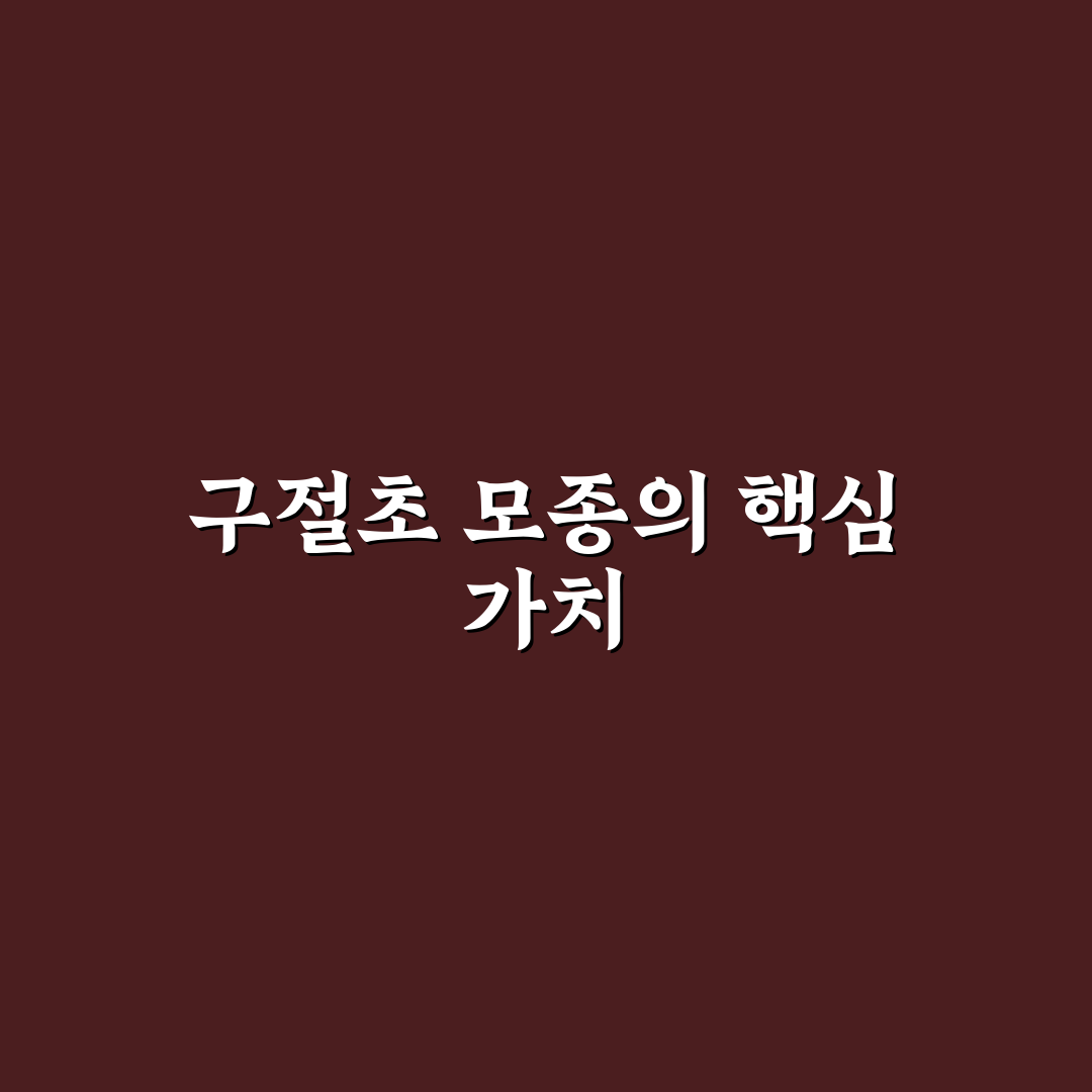 구절초 모종 심기와 관리 꿀팁 쉽게 알려드려요