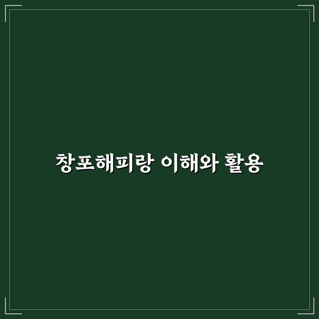 창포해피랑 이용 꿀팁과 방문 후기 정리