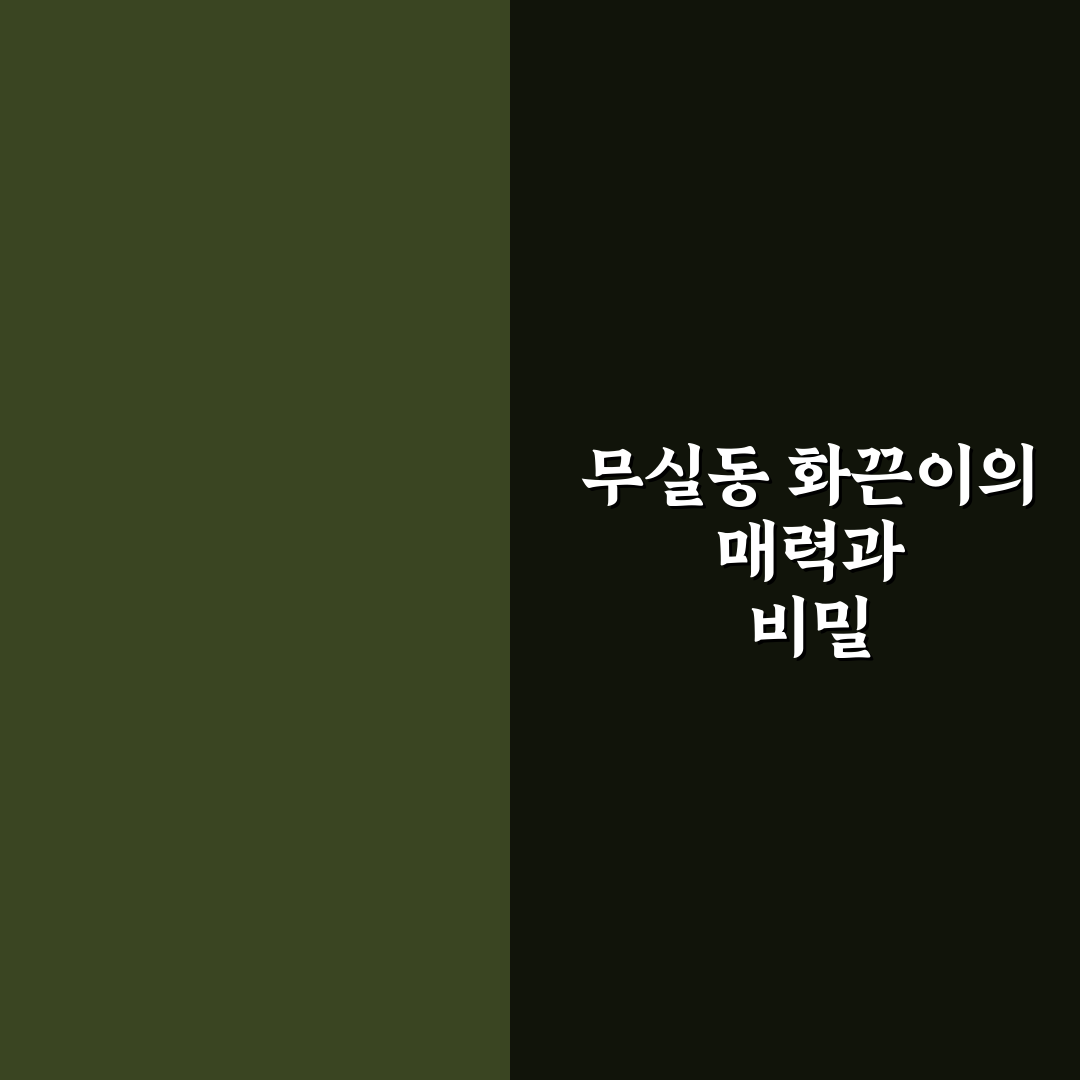 무실동 화끈이 맛집과 이용 꿀팁 알려드려요