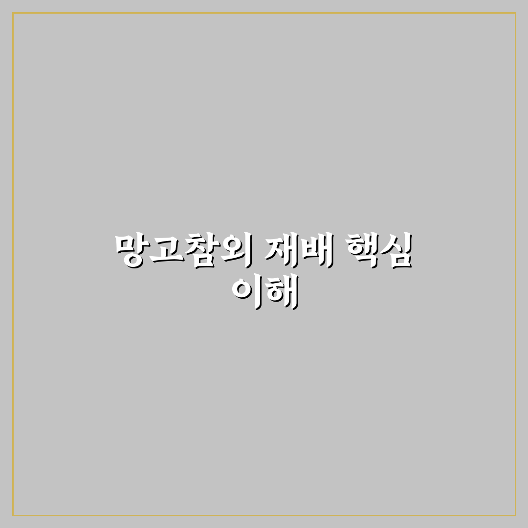 망고참외 키우기 꿀팁 초보자도 쉽게 따라하는 방법
