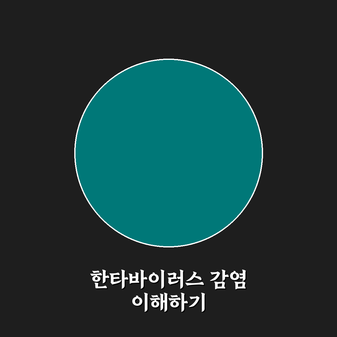 한타바이러스 대만 감염 증상과 예방 꿀팁 정리