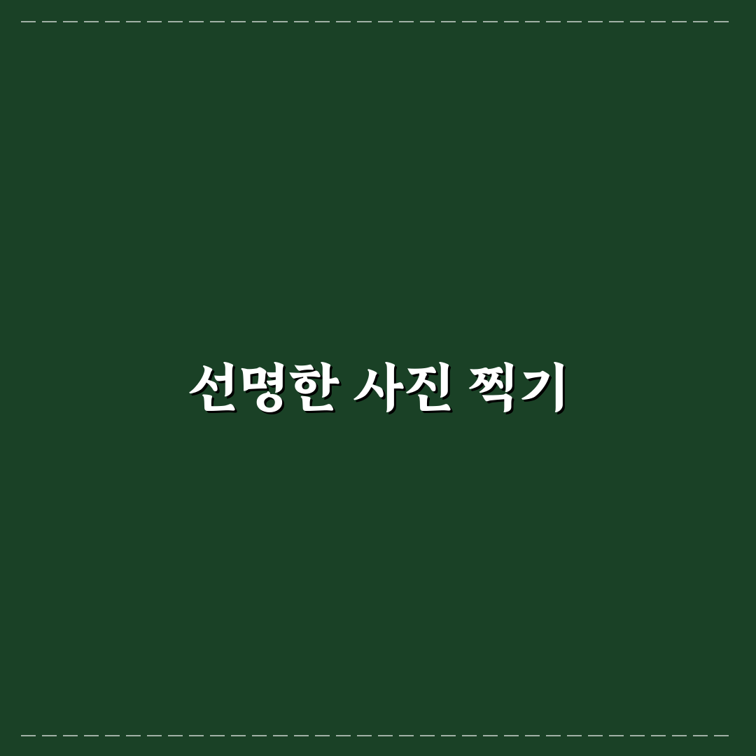 아이폰 카메라 설정 활용법으로 선명한 사진 찍는 꿀팁 공유