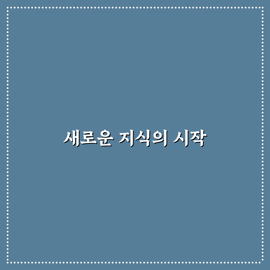 개인 위키 도구 사용 후기, 직접 써보니 알게 된 점들