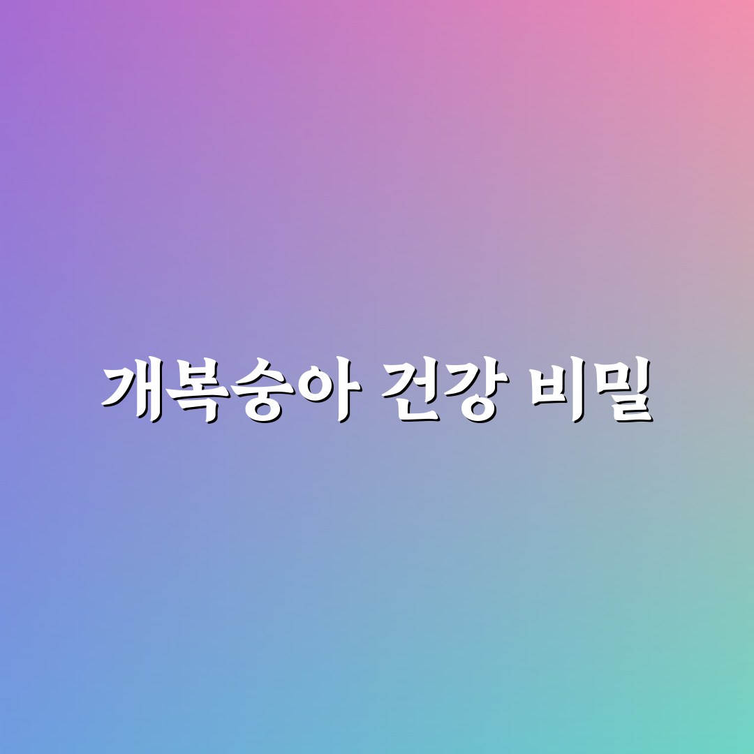 개복숭아 효능과 활용법 초보자를 위한 꿀팁 공유