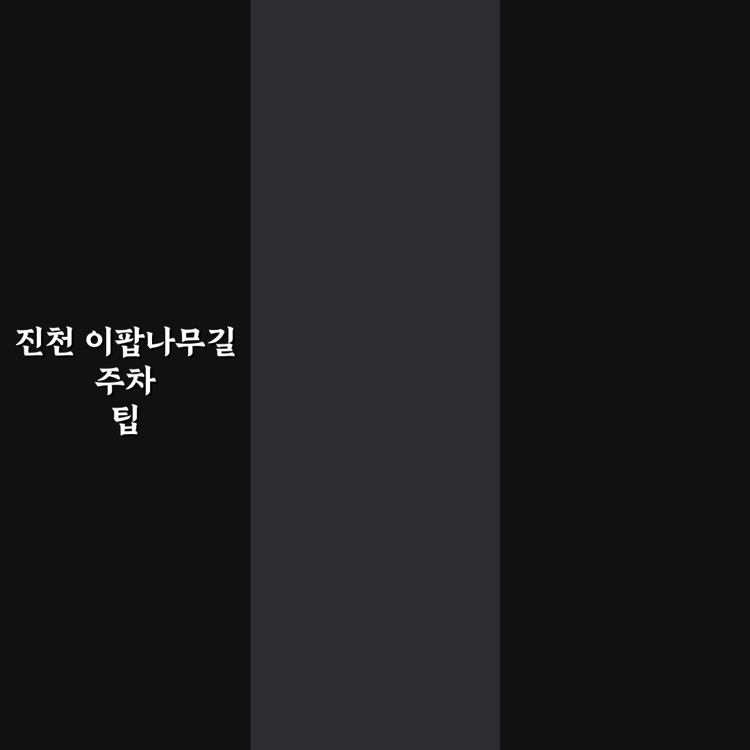 진천 이팝나무길 주차 방법과 꿀팁 쉽게 정리