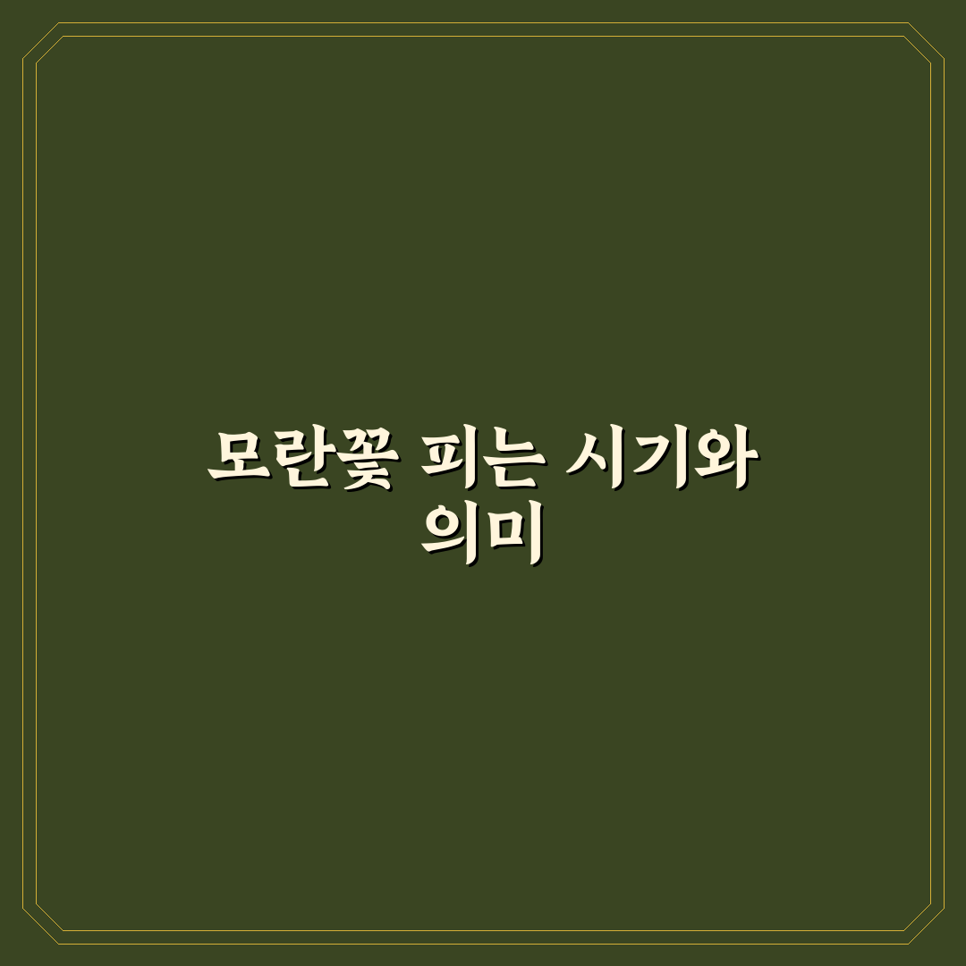 모란꽃 개화시기와 특징 쉽게 알려드려요