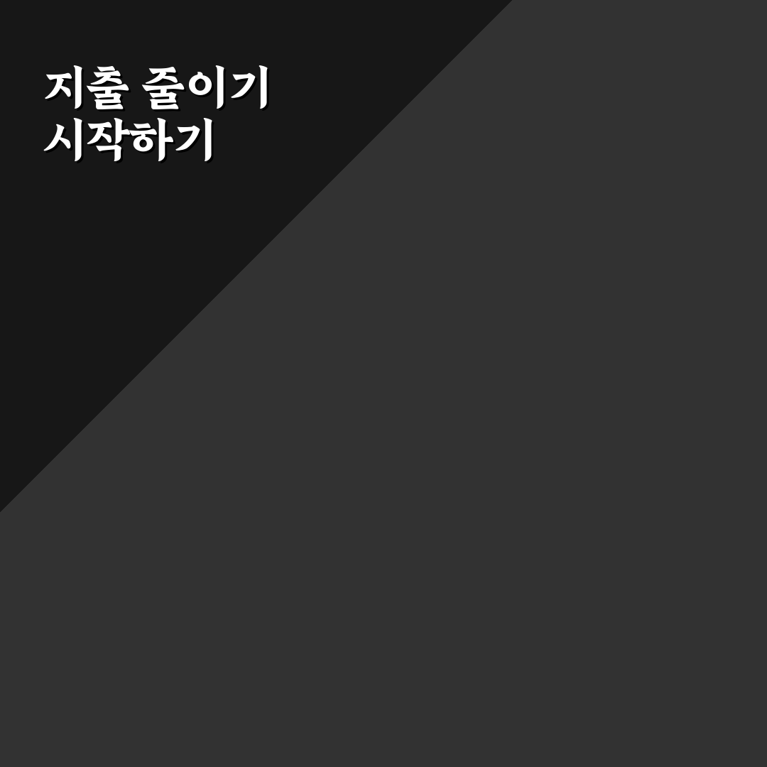 지출 다이어트 시작하는 법 예산 관리 핵심 습관 꿀팁 공유