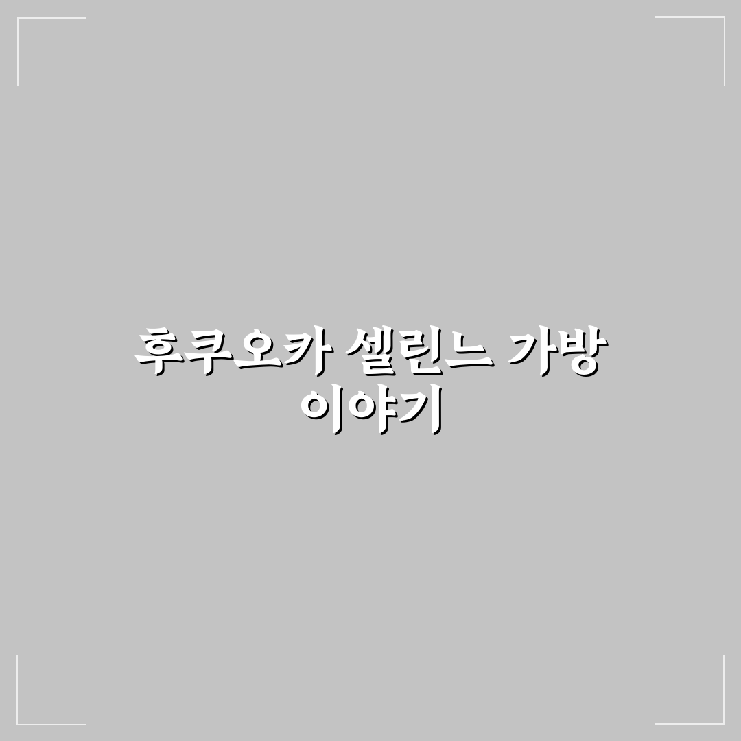 후쿠오카 셀린느 가방 구매 꿀팁과 후기 정리