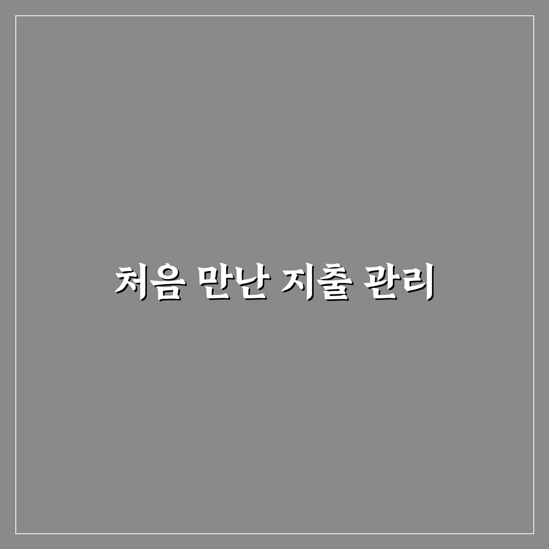 지출 통제 방법 직접 해보니 예산 한도 설정의 현실감
