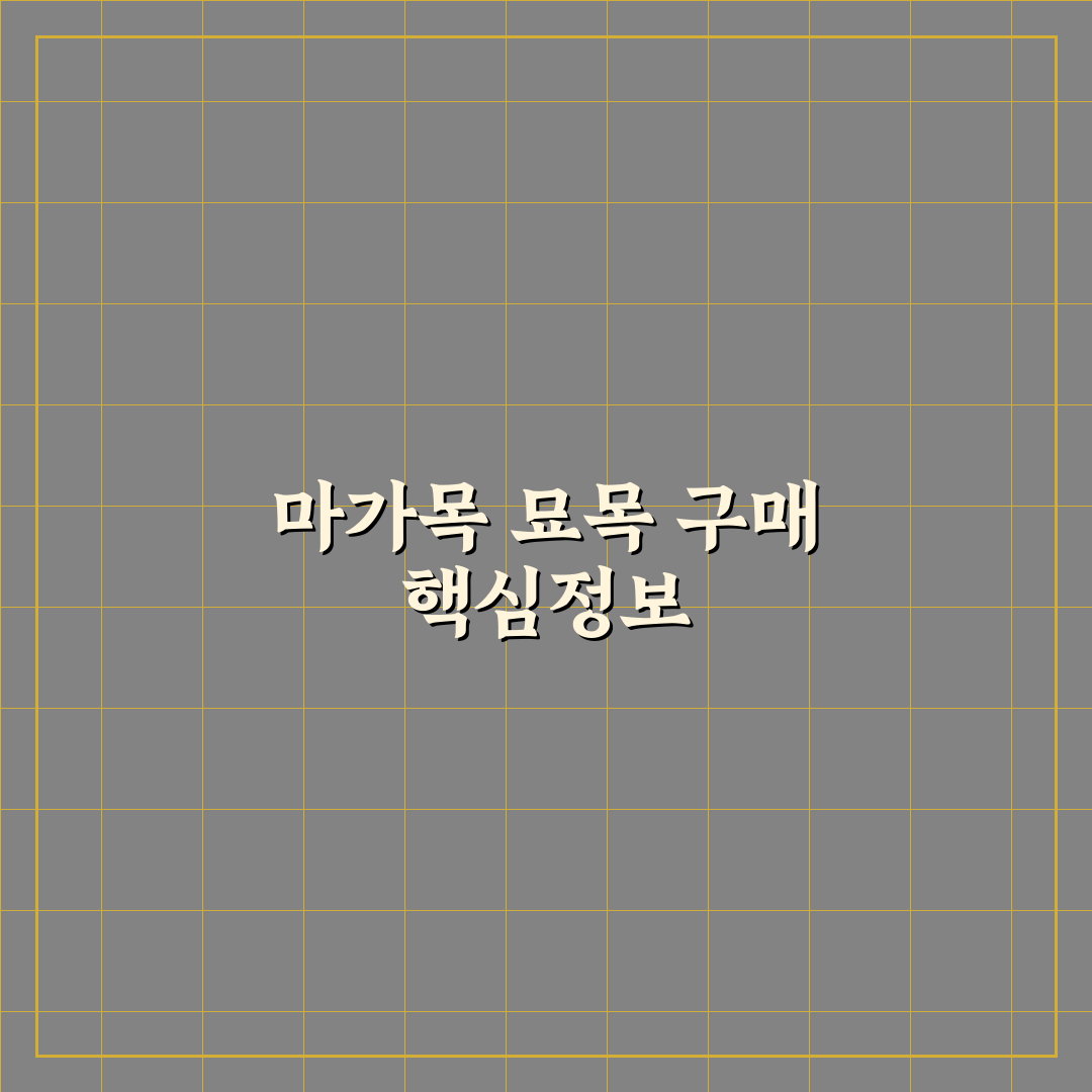 마가목 묘목 구입 방법과 꿀팁 쉽게 알려드려요