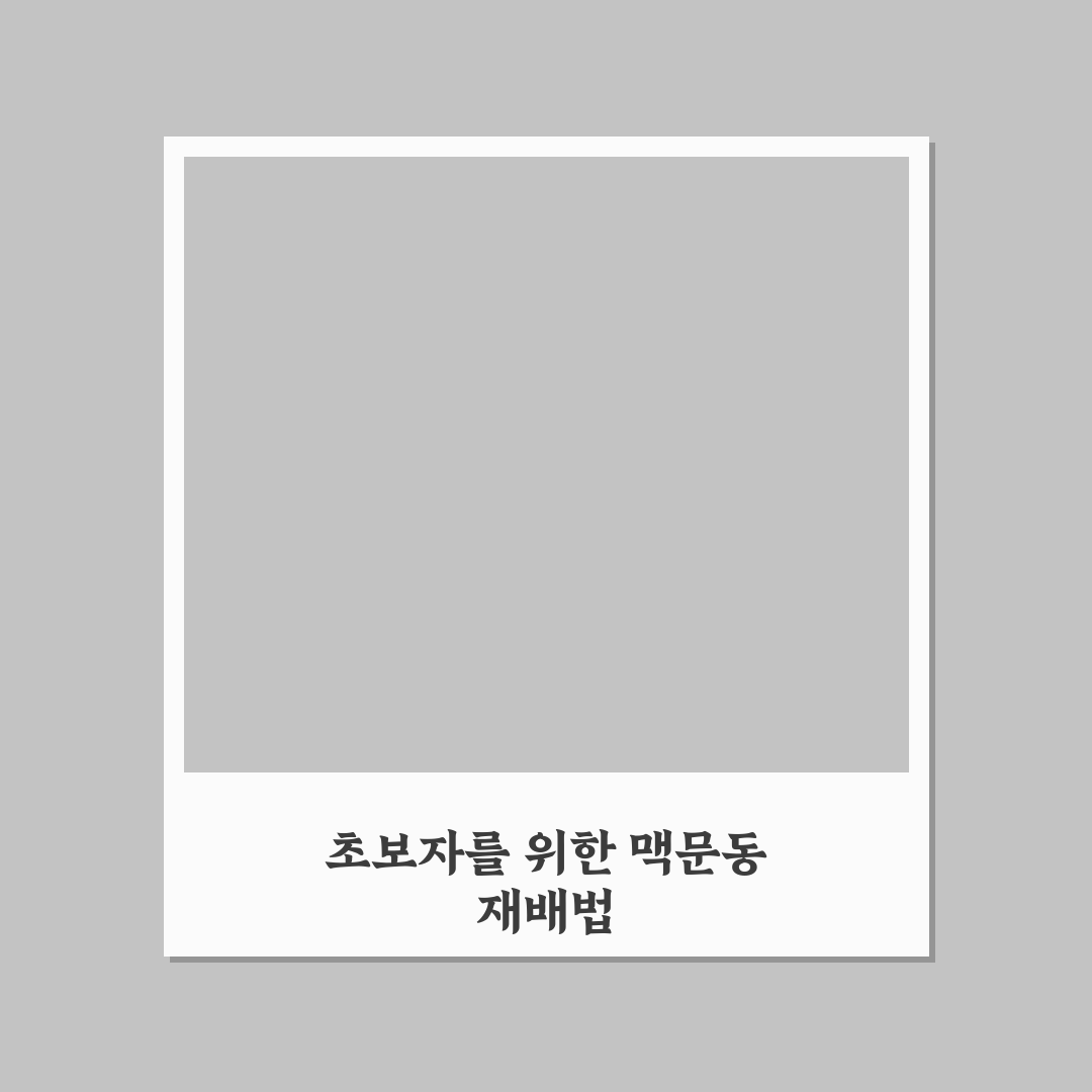맥문동 키우기 쉬운 방법과 관리 꿀팁 알려드려요