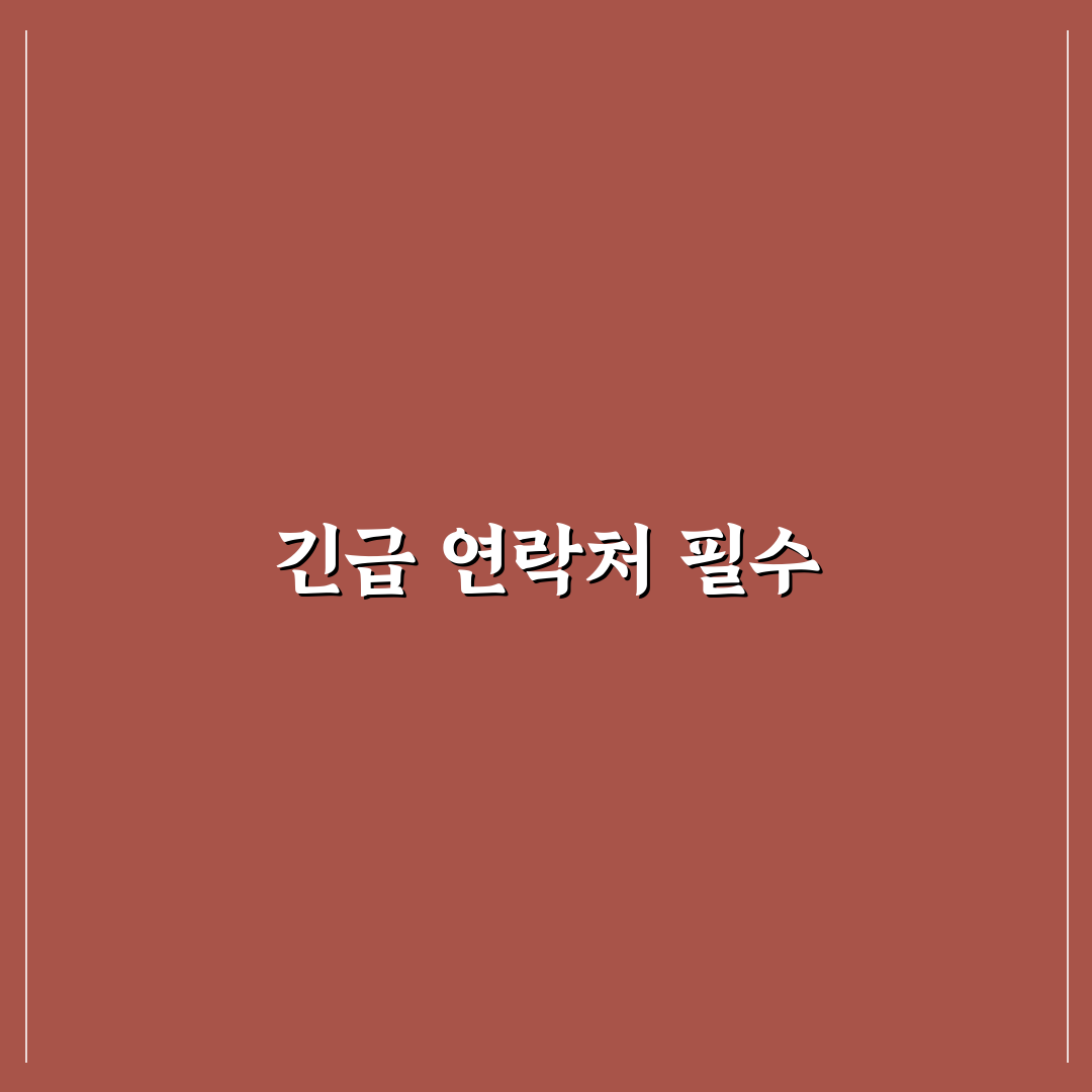 긴급 연락처 설정 분실과 사고 대비하는 법 꿀팁 공유