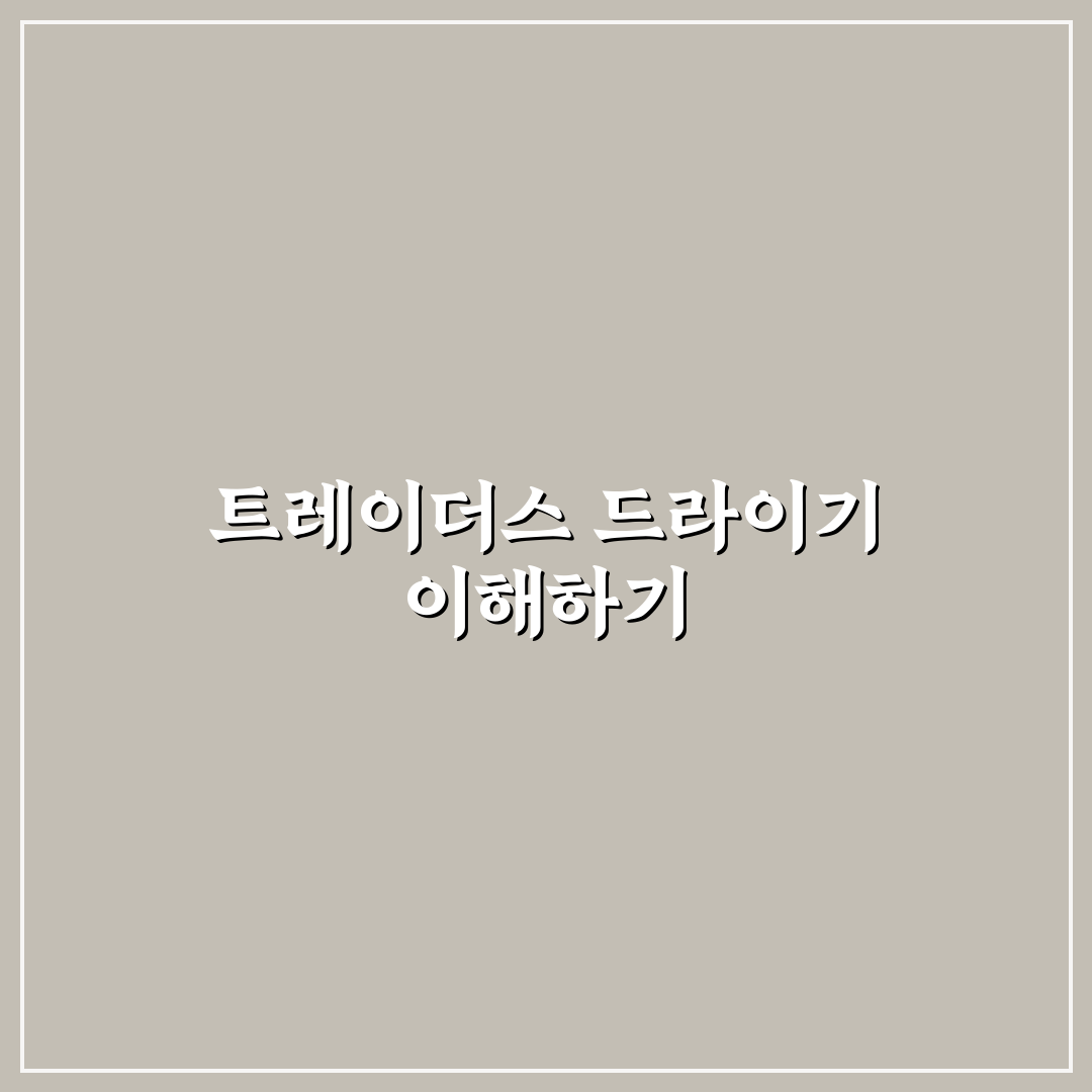 트레이더스 드라이기 사용법과 꿀팁 공유하기