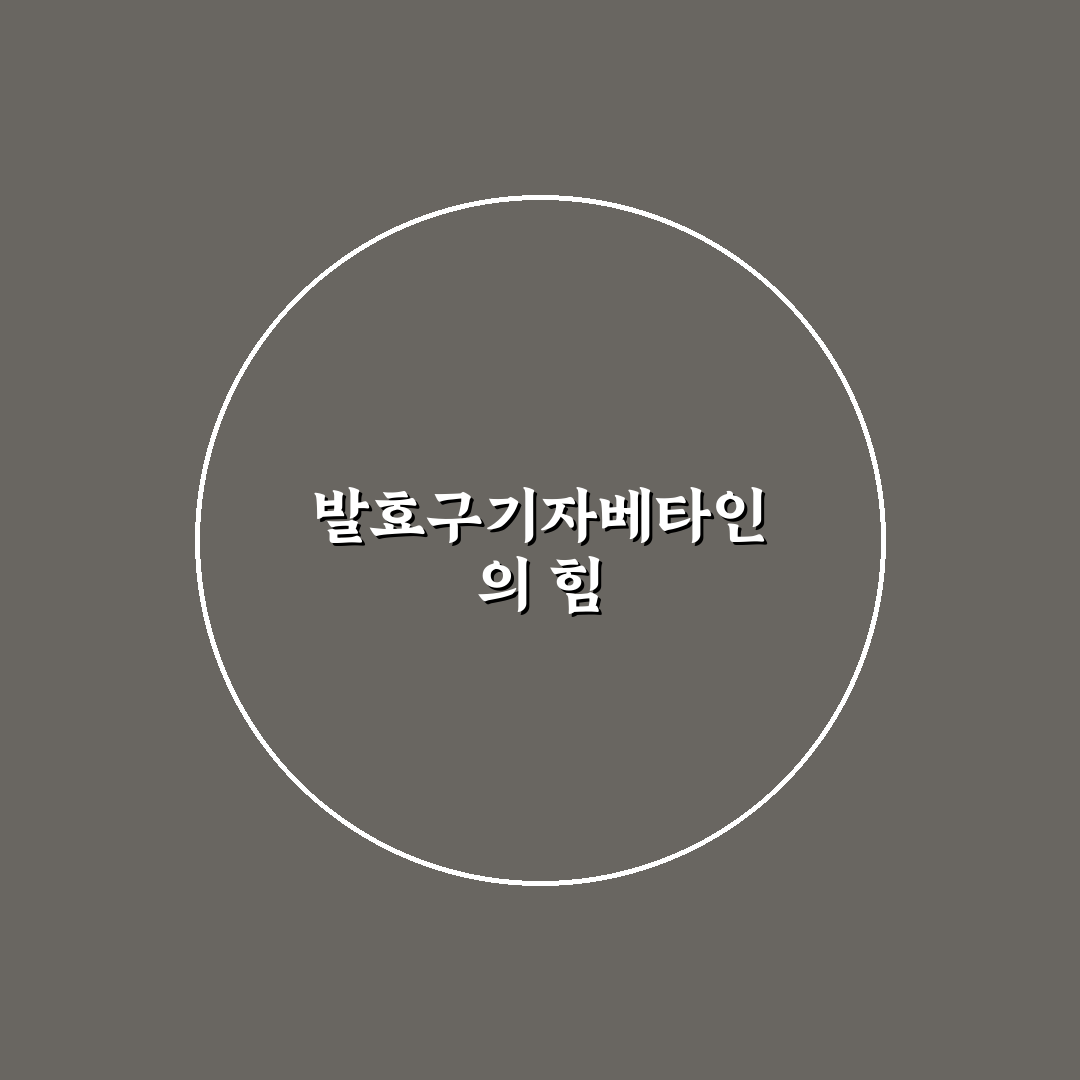 발효구기자프리미엄베타인 효과와 활용 꿀팁 알려드려요