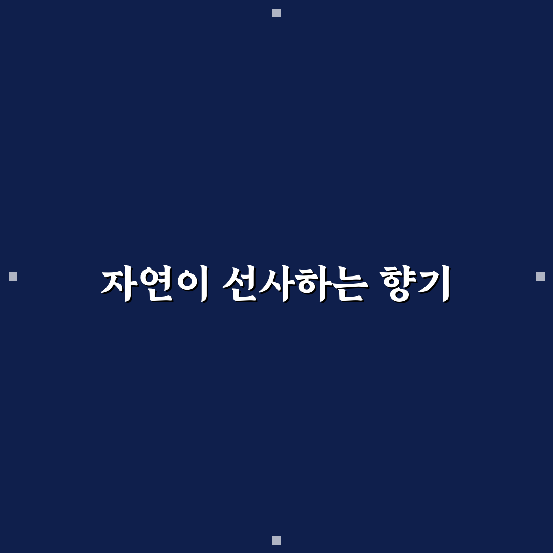 들정향나무 꽃 체험기, 직접 가보니 알게 된 점