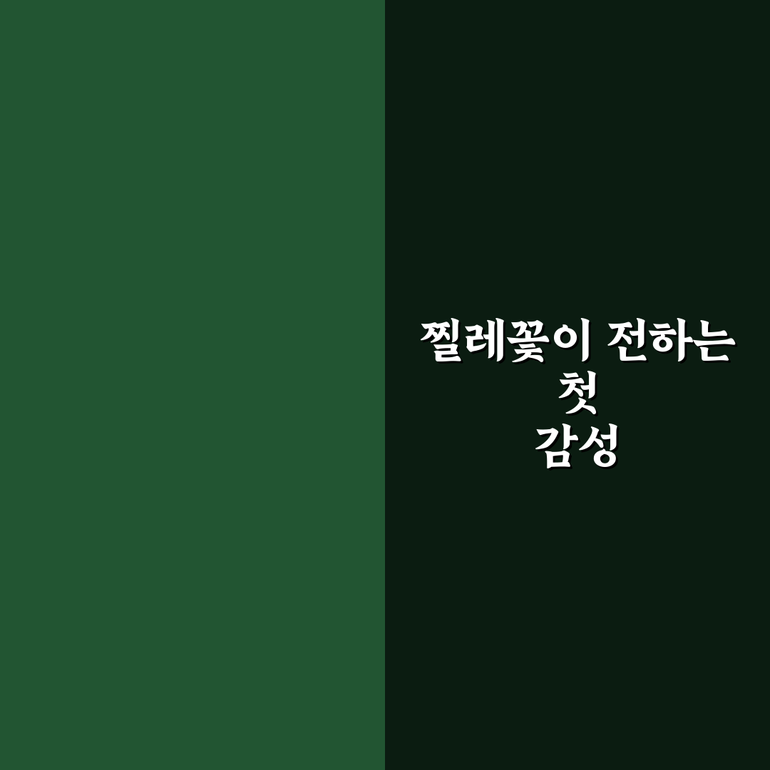 찔레꽃 노래 원곡자 직접 알아보니 뜻밖의 이야기