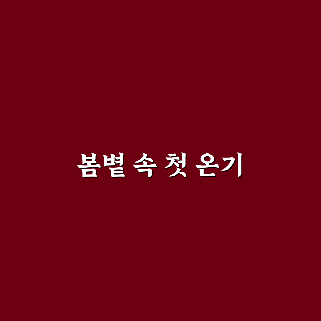 이봄볕 사용 후기, 직접 써보니 피부 변화는 어땠나