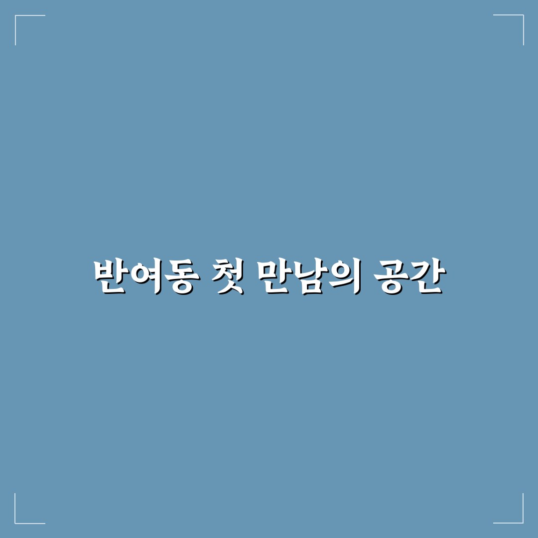 반여동 술집 방문 후기, 편안한 분위기와 아쉬운 점