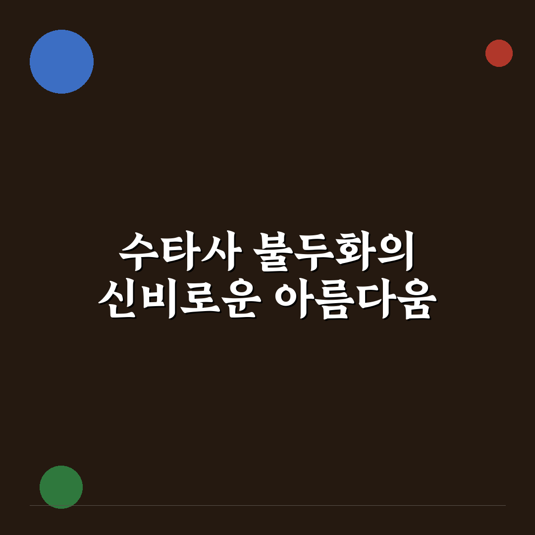 수타사 불두화 방문 후기, 직접 가보니 알게 된 점