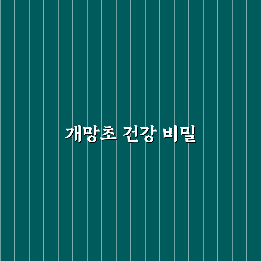 개망초효능과 활용법 초보자를 위한 꿀팁 정리