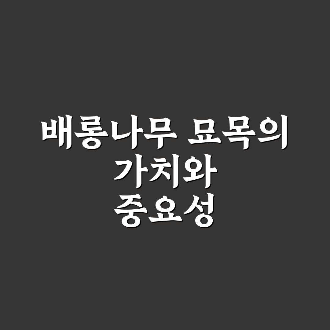 배롱나무 묘목 키우기 꿀팁과 선택 방법 정리