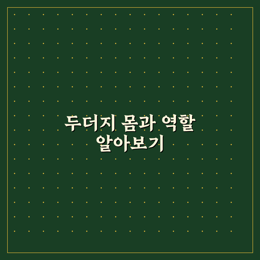 두더지 생김새 쉽게 알려드려요 초보자 정리