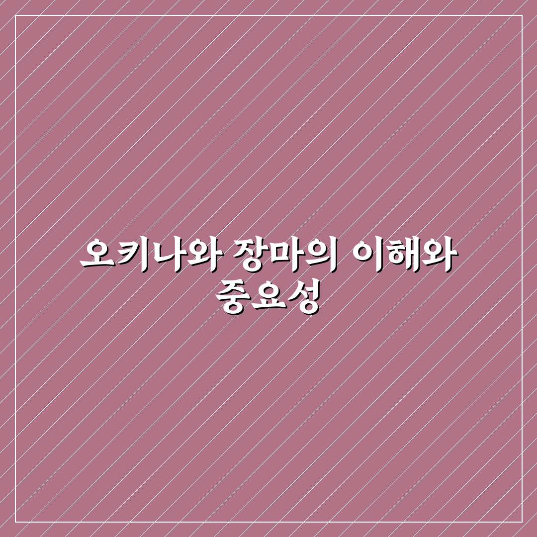 오키나와 장마기간과 날씨 변화 쉽게 알아보는 꿀팁