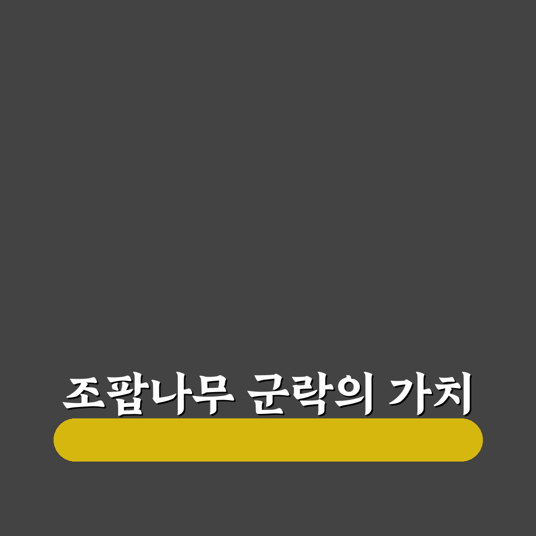 조팝나무 군락지 방문 꿀팁과 자연 풍경 정리