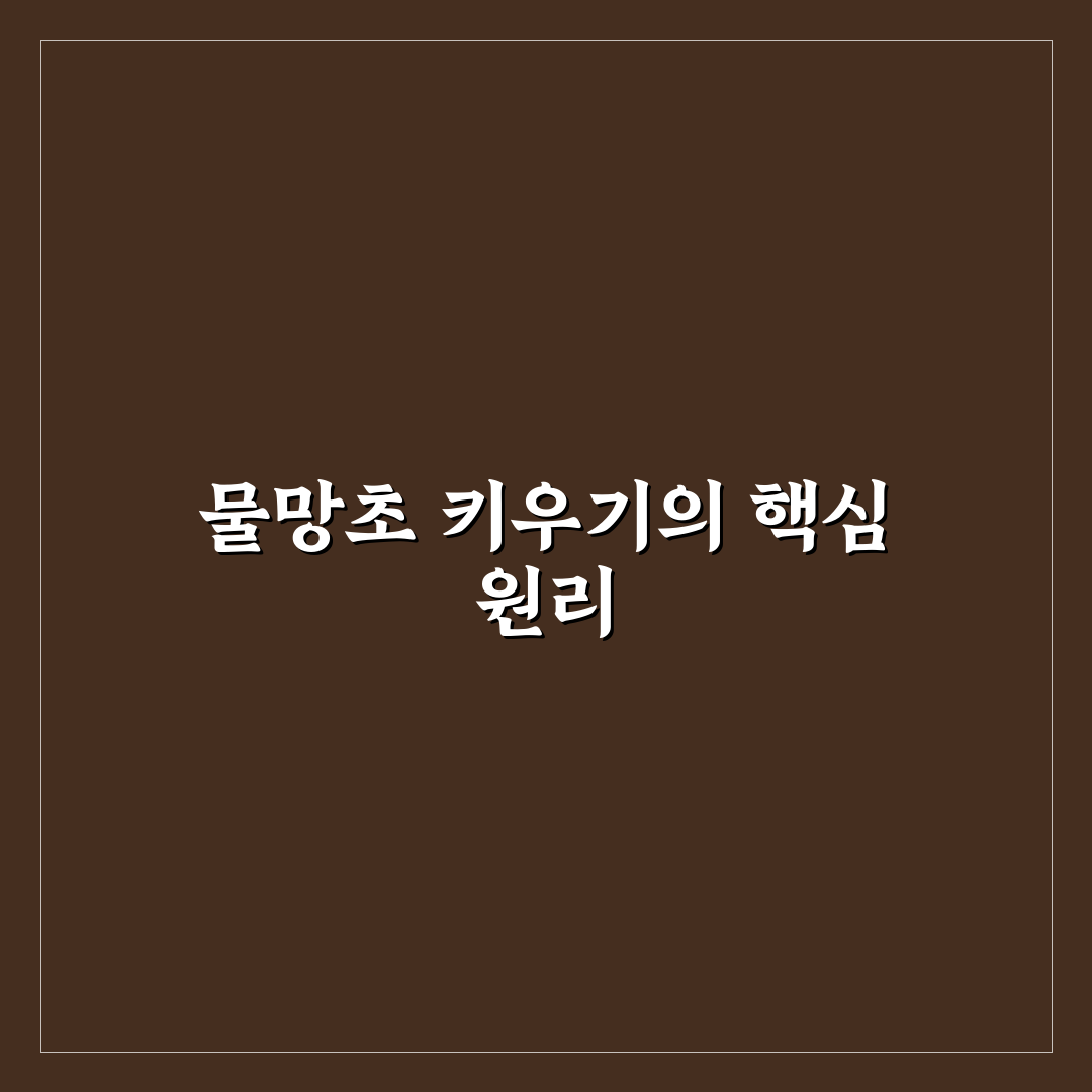 물망초 키우기 방법과 초보자 꿀팁 공유