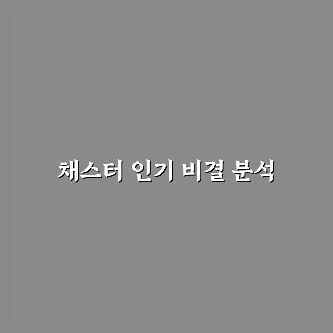 유튜버 채스터 채널 운영 꿀팁과 후기 정리