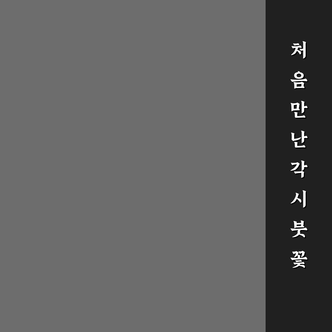각시붓꽃 키우기 후기, 직접 길러보니 알게 된 점