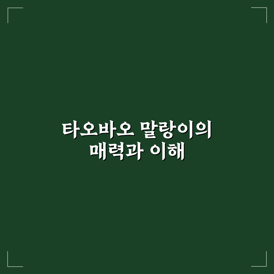 타오바오 말랑이 검색 꿀팁과 구매 방법 정리