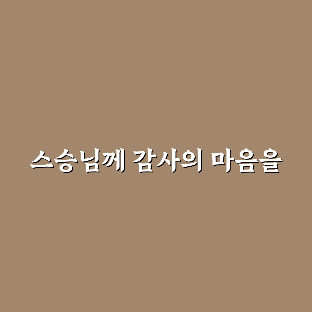 스승의날 꽃다발토퍼 사용 후기, 직접 써보니 느낌은